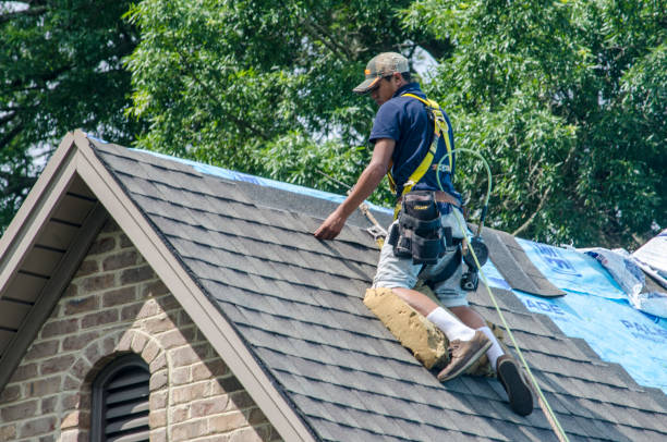 Best Gutter Installation and Roofing  in Piketon, OH